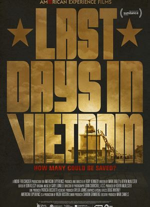 在越南最后的日子海报封面图