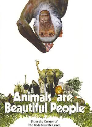 可爱的动物海报封面图