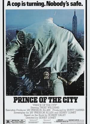 城市王子海报封面图