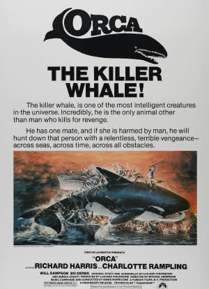 杀人鲸海报封面图