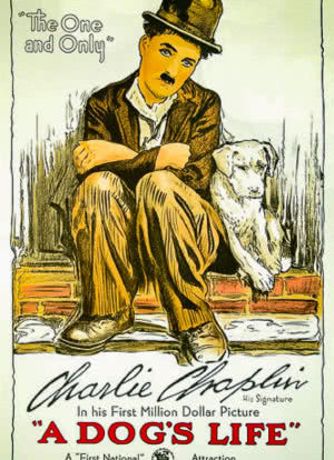 狗的生活海报封面图