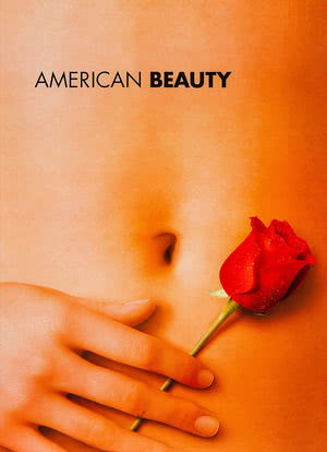 美国丽人海报封面图