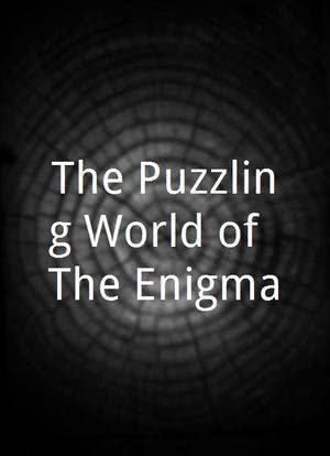 The Puzzling World of 'The Enigma'海报封面图