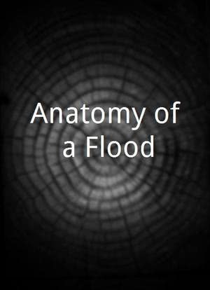 Anatomy of a Flood海报封面图