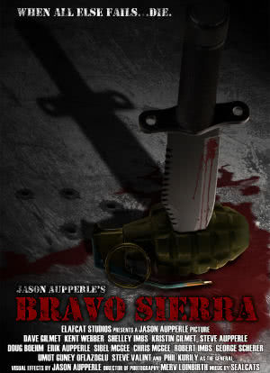 Bravo Sierra海报封面图