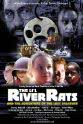 Troye Kinnett The Lil' River Rats and the Adventure of the Lost Treasure