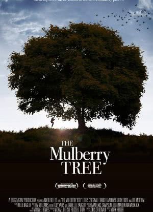 The Mulberry Tree海报封面图