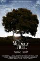 Dilini Fernando The Mulberry Tree