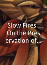 Slow Fires: On the Preservation of the Human Record
