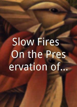 Slow Fires: On the Preservation of the Human Record海报封面图