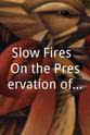 詹姆斯·A·米切纳 Slow Fires: On the Preservation of the Human Record