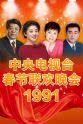 耿其昌 1991年中央电视台春节联欢晚会