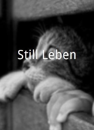 Still-Leben海报封面图