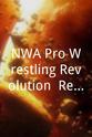 Michael Modest NWA/Pro Wrestling Revolution: Reinforcement