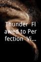 Ben Matthews Thunder: Flawed to Perfection: Video Collection 1990-1995