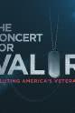 Colin Holmes The Concert for Valor