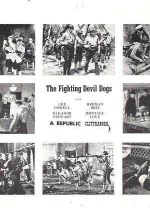 The Fighting Devil Dogs海报封面图