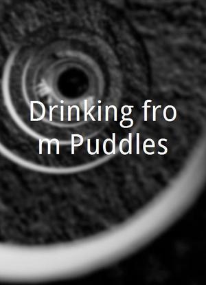 Drinking from Puddles海报封面图