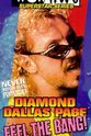 Chae An WCW/NWO Superstar Series: Diamond Dallas Page - Feel the Bang!