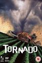 Lisa Stothard Nature Unleashed: Tornado