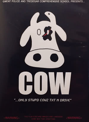Cow海报封面图
