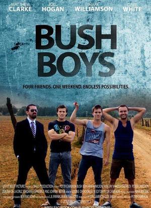 Bush Boys海报封面图
