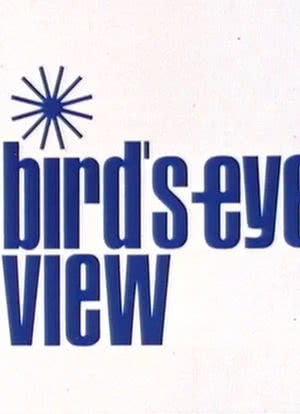 Bird's-Eye View海报封面图