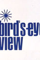 Correlli Barnett Bird's-Eye View