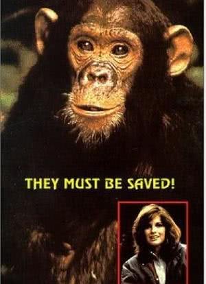 自由的猩猩海报封面图