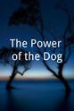 拉斯莫斯·海斯特贝格 The Power of the Dog