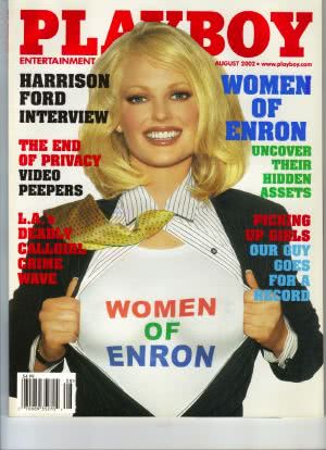 Playboy: Women of Enron海报封面图