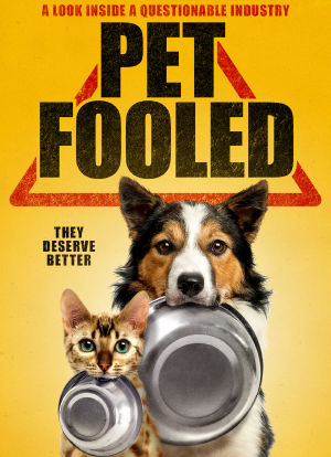 宠物食品探秘海报封面图