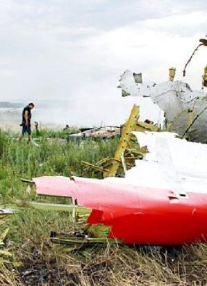 秘密文件：谁击落了MH17？海报封面图