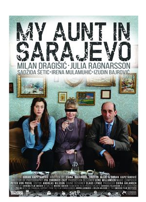 My Aunt in Sarajevo海报封面图