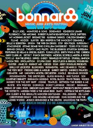 Bonnaroo Music Festival海报封面图