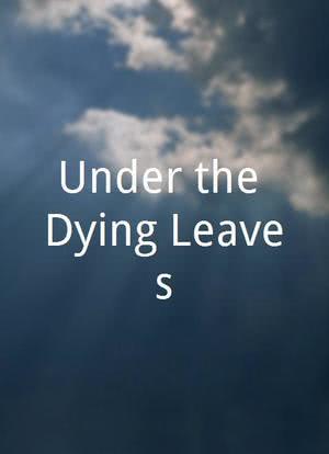 Under the Dying Leaves海报封面图