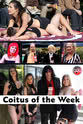 Gill Williams Coitus of the Week comedy pilot