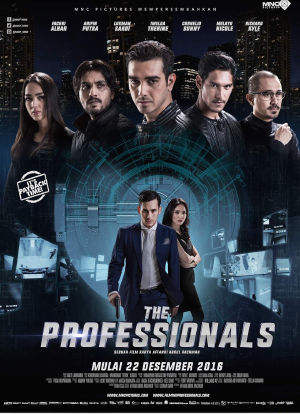 The Professionals海报封面图