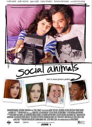 社交动物海报封面图