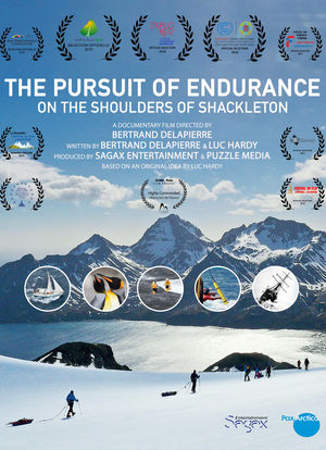 The Pursuit of Endurance海报封面图