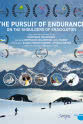 Géraldine Fasnacht The Pursuit of Endurance