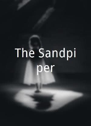 The Sandpiper海报封面图