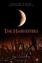 Angelina Hampton The Harvesters
