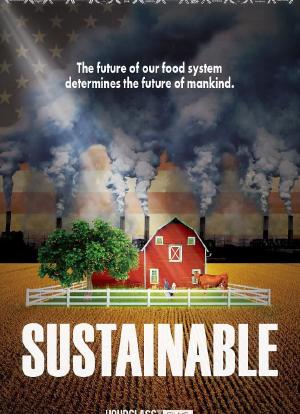 Sustainable海报封面图