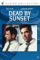 Joe Bennett Dead by Sunset