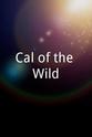 乔纳森·戈德斯坦 Cal of the Wild