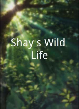 Shay's Wild Life海报封面图
