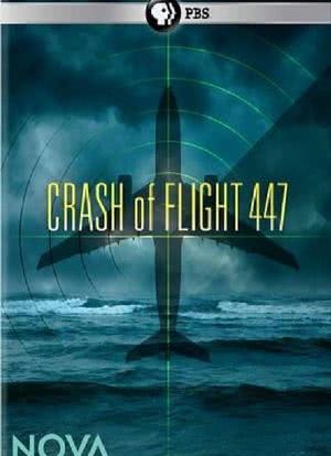 PBS NOVA: Crash of Flight 447海报封面图