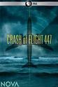 Jim Wildey PBS NOVA: Crash of Flight 447