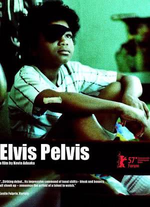 Elvis Pelvis海报封面图